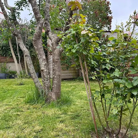 Holiday home Paulette S Endort Stella-Plage